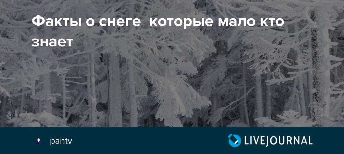 Toto: интересные факты о группе, которые мало кто знает | fuzz music