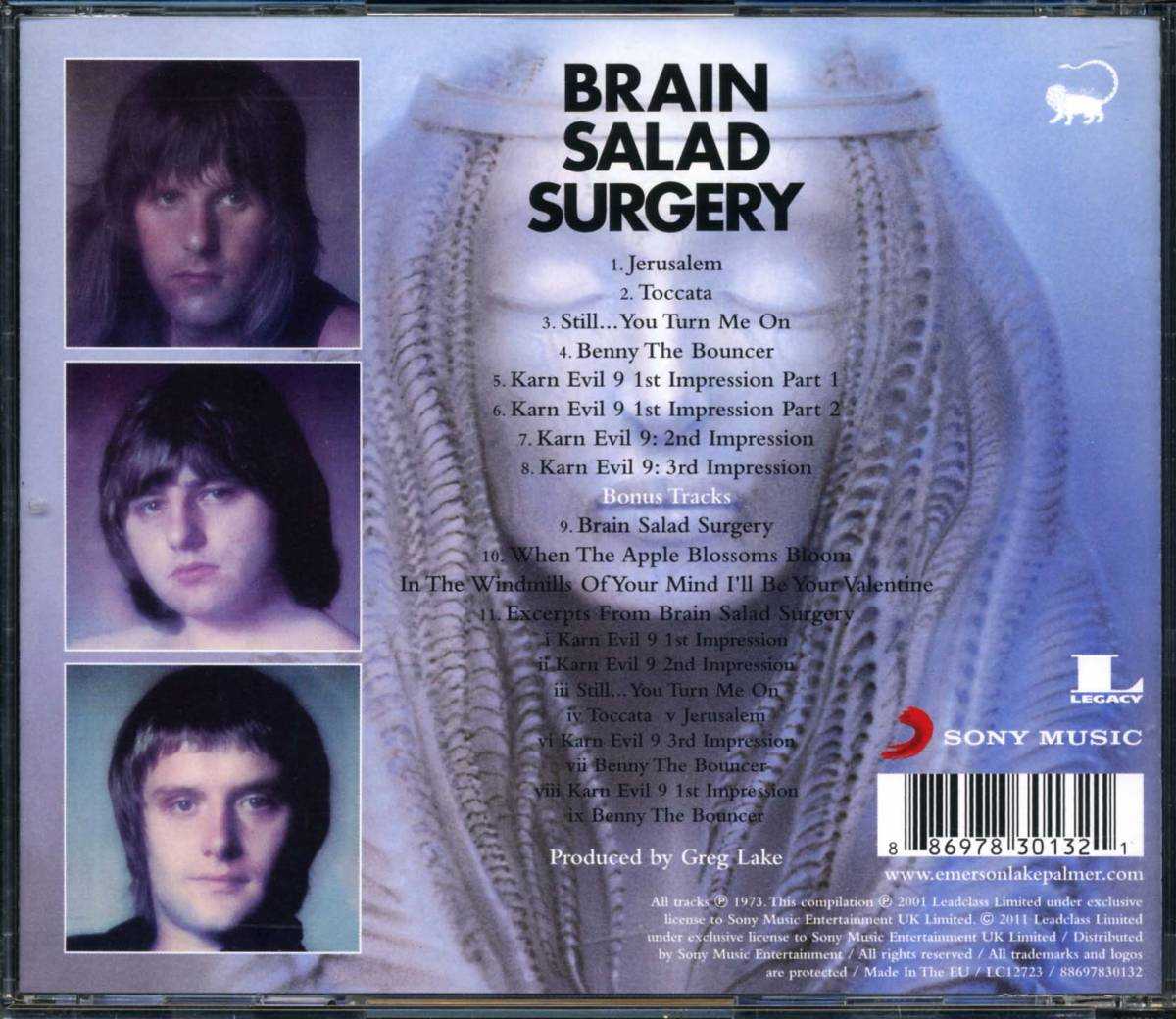 Brain salad surgery - вики