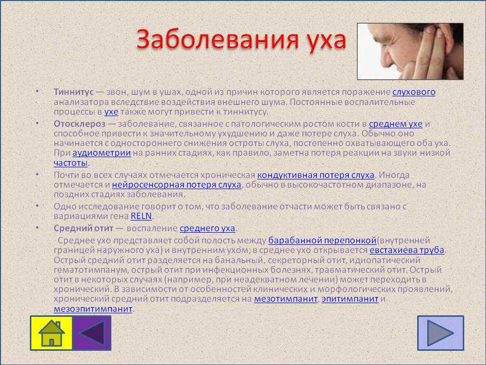 У всех на слуху: 30 известных каждому фраз, о происхождении которых знают лишь единицы