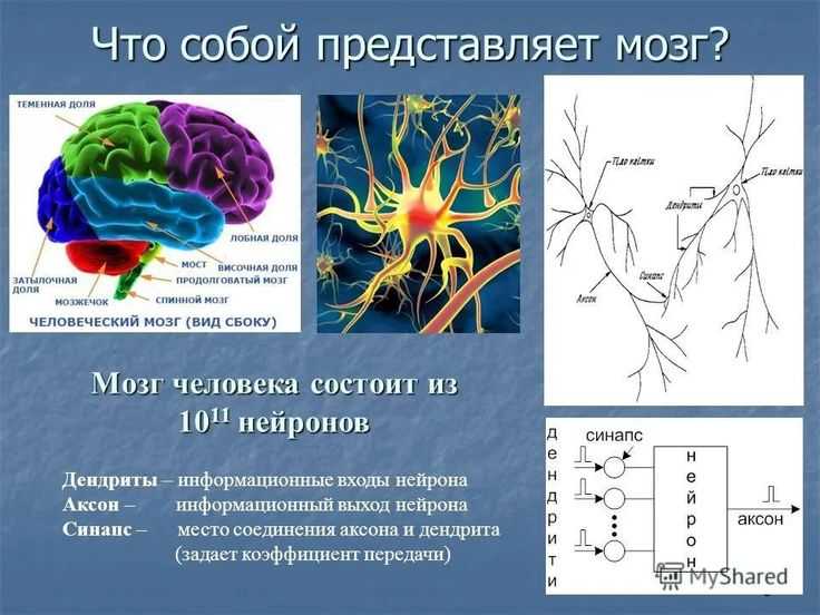 Как перестать жить прошлым и избавиться от плохих воспоминаний